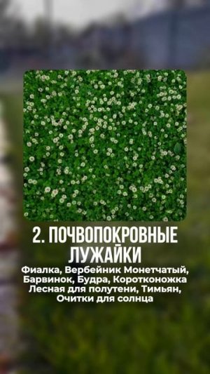🌱 Устали от газона? 3 классные альтернативы! 🌱
