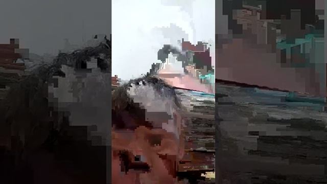 дима и друг