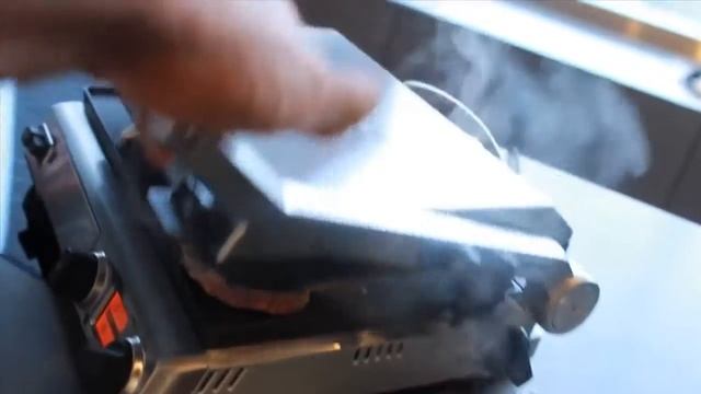 Все о питании  Белки