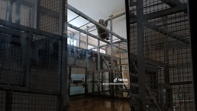 Ростовский зоопарк