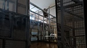 Ростовский зоопарк