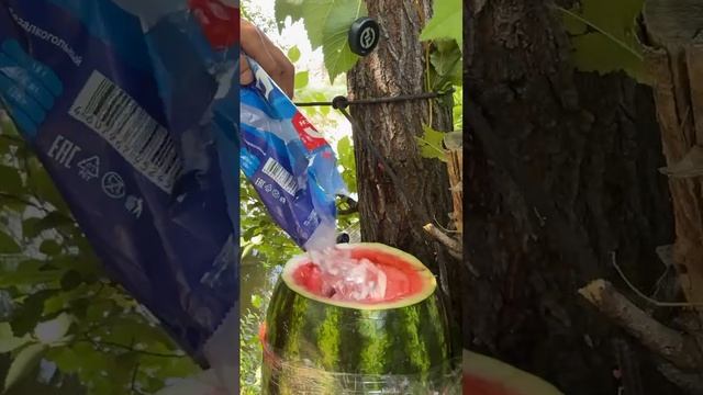Ягодный пунш
