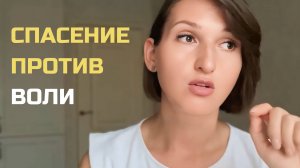 Спасение бездомных животных: помощь или вред? #спасатель #жертва #психология #развитие