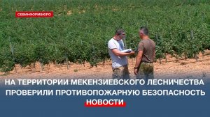 На территории Мекензиевского лесничества проверили соблюдение противопожарных мер