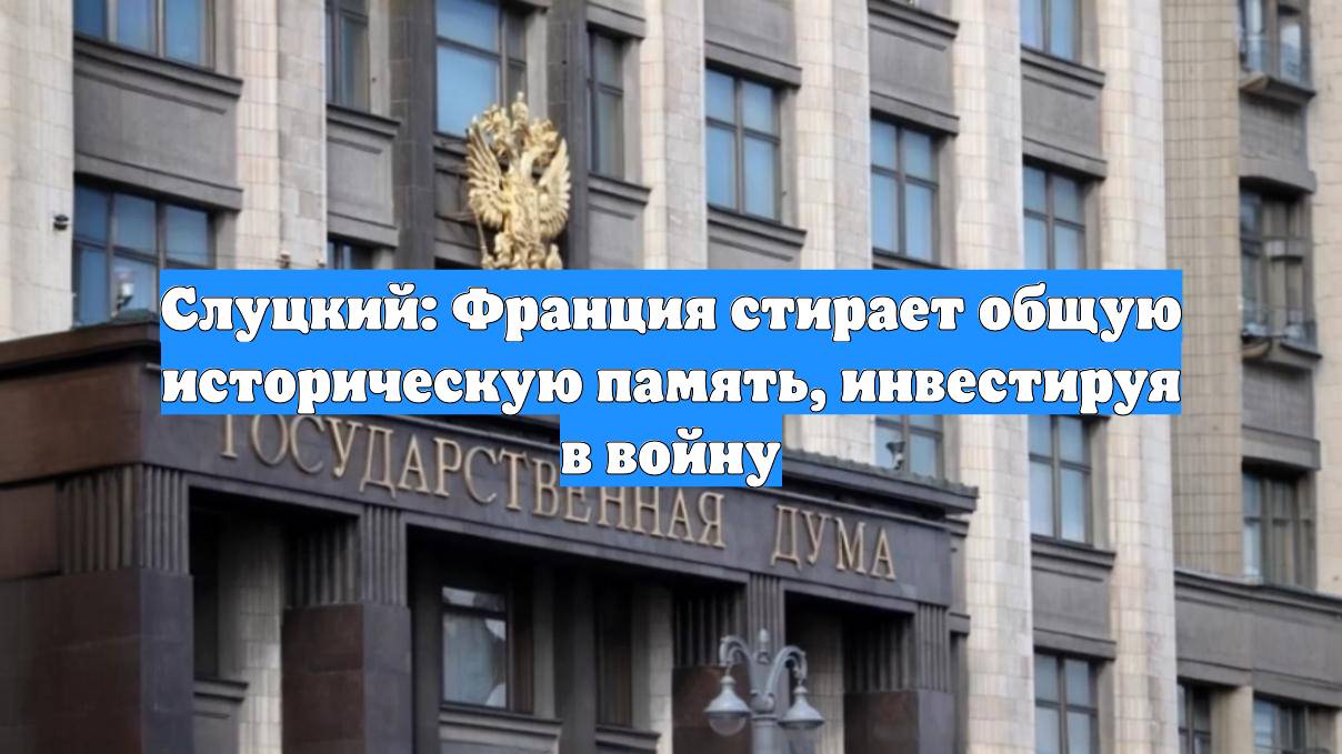Слуцкий: Франция стирает общую историческую память, инвестируя в войну