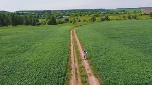 Природа вокруг Экопоселка Роса - июнь 2025 (Казань, Высокогорский район)