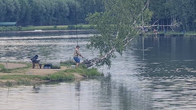 Поимка карпа смотреть онлайн