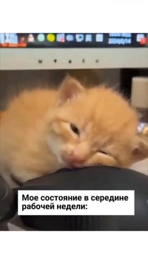 Держимся!