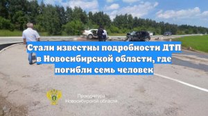 Стали известны подробности ДТП в Новосибирской области, где погибли семь человек