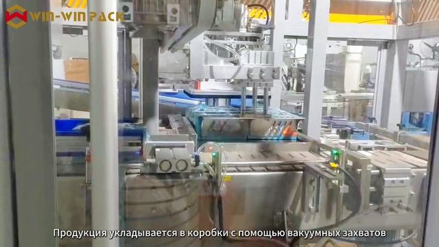 Вертикальная 3-в-1 упаковочная машина с паллетайзером | Упаковка снеков | Паллетирование