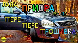 ПереПереПрошивка Приоры с е-газ. Прошивка - динамика, лицензия евро-2 взамен "ГАРАЖНОГО" самиздата.