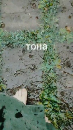 Настя Башманова "Моя дорога" Яндекс музыка. #настябашманова #сестрыбашмановы #топ