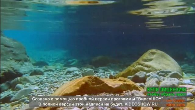 ВОЛШЕБНАЯ ПОДВОДНАЯ ЖИЗНЬ.МУЗЫКАЛЬНЫЙ РЕЛАКС .СЛУШАЙТЕ И ОТДЫХАЙТЕ!