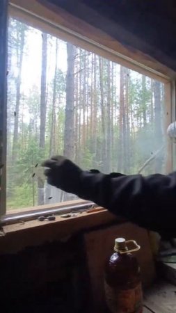 Заготовка ОВОДА!