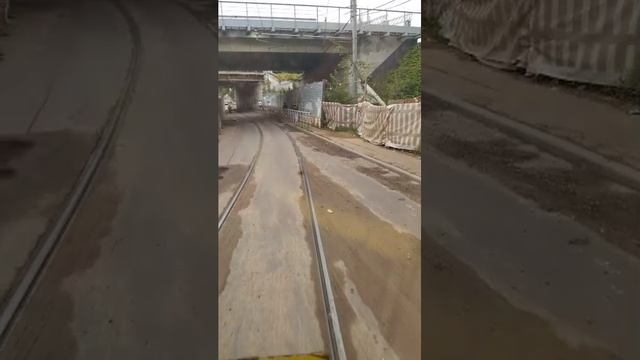 Поездки в общественном транспорте | 16-июл-2025