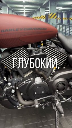Терракотовые чувства HD STREET ROD
