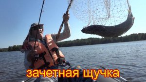 Один день на Верхней Волге. Рыбалка троллингом на большой воде.