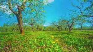 ОЧЕНЬ КРАСИВАЯ РАССЛАБЛЯЮЩАЯ МУЗЫКА ДЛЯ ДУШИ УСПОКАИВАЮЩАЯ МУЗЫКА ДЛЯ СНА