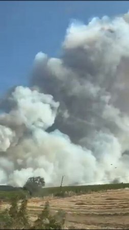 В турецкой провинции Текирдаг бушуют мощные пожары. 🔥