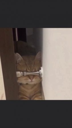 Если я их не вижу, то и они меня не видят