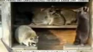 1000068535.mp4