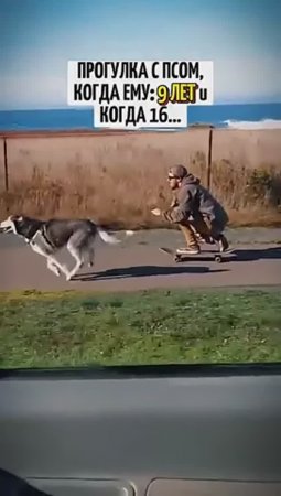 Прогулка❤️ псом в 9 лет и в 16