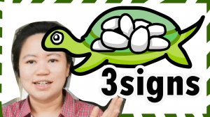 3 Признака того, что самка черепахи беременна