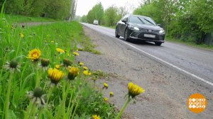 Автопутешествие - без вреда для здоровья. Доброе утро. Фрагмент выпуска от 16.07.2025