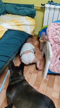 Помощь другу #супернастуся #солнечныймалыш #синдромдауна #downsyndrome #игрысголосом #друзья