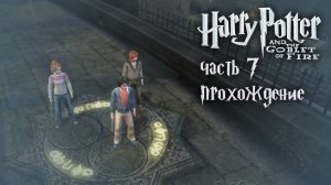 Охота за оставшимися щитами / Гарри Поттер и Кубок Огня / 7 часть — прохождение 101%