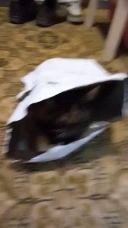 1000000691.mp4