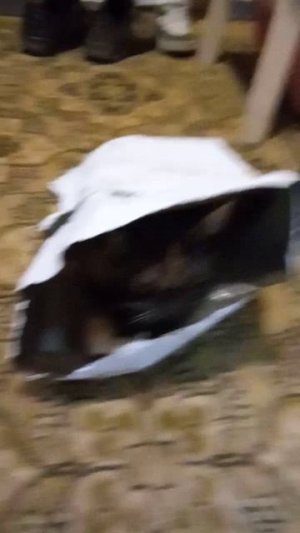 1000000691.mp4