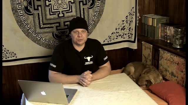 Шоу Дао & Медведев | Вбросы и манипуляции  ч 1