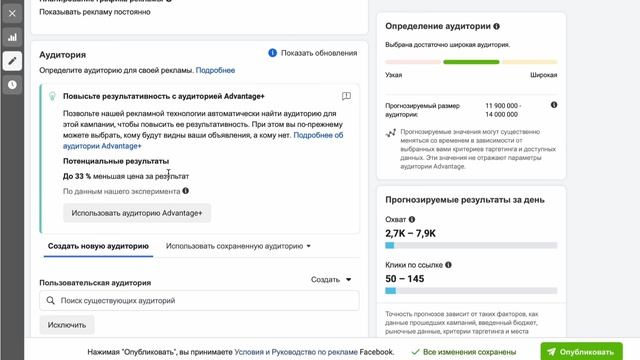 Запуск первой компании. Цели. Аудитории