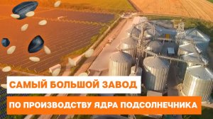 Самый большой завод по производству ядра подсолнечника ELICA