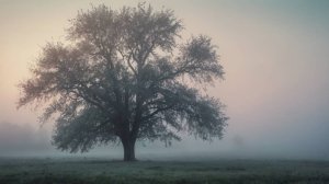 Волшебство фортепиано: живая музыка для души и вдохновения