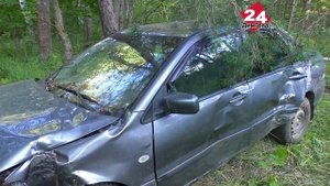 Под Димитровградом иномарка влетела в дерево