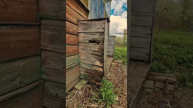Вид дома снаружи🤓