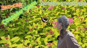 Июльские сокровища сада - многолетники и душистые травы