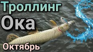 РЫБАЛКА .ТРОЛЛИНГ в октябре.река ОКА