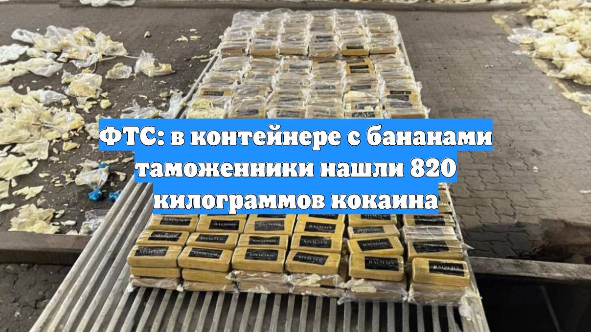 ФТС: в контейнере с бананами таможенники нашли 820 килограммов кокаина