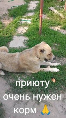 +7985 193 0027 сбер элплат