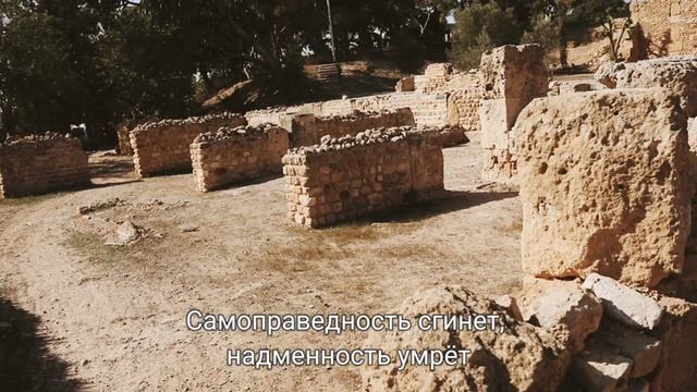 ☦️❤ПЕРЕД СВЯТОСТЬЮ БОГА!!!❤🕊️