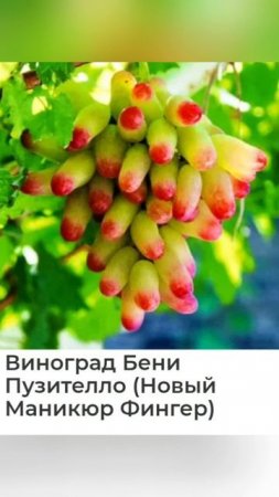 Не знаете, что посадить в этом сезоне? У нас есть ответ!