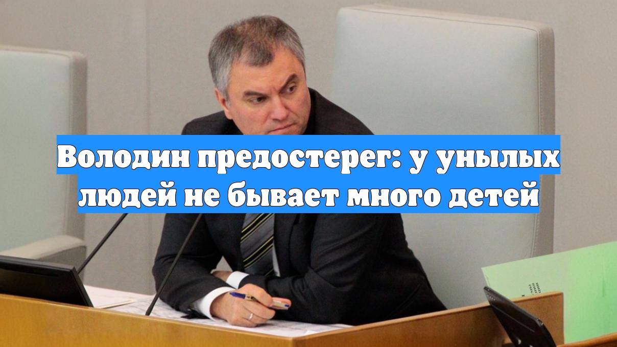 Володин предостерег: у унылых людей не бывает много детей