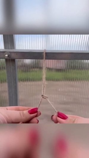 Петелька для подвязки рассады.