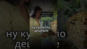 Заработок на комнатных растениях