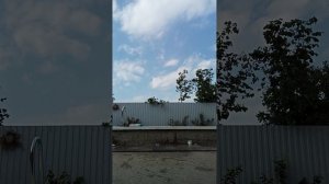 я и Вероника подписка