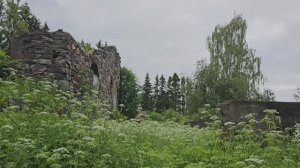 Карелия. Деревня Кирконкюля. Руины Восточно-карельского народного училища.