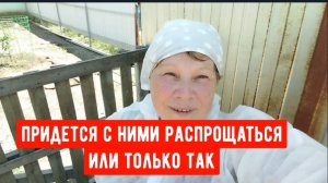 #53Придется с ними распрощаться или только так/Мои заготовки/Запеканка по новому